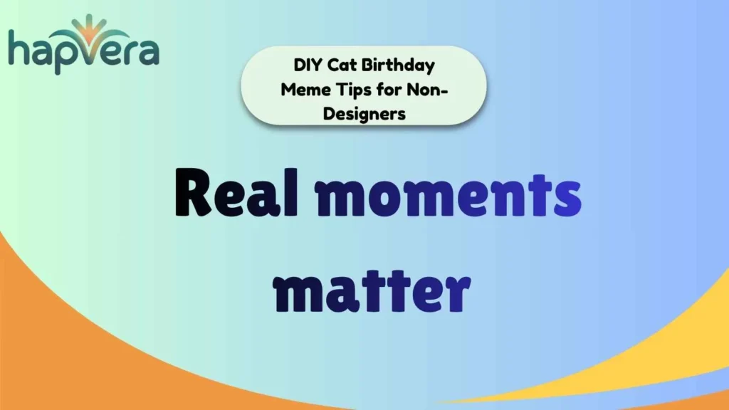 DIY Cat Birthday Meme Tips for Non-Designers